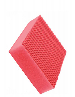 Eponge rouge HACCP color clean